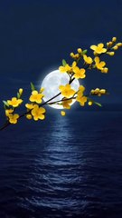 Excellent Vice Review 😊