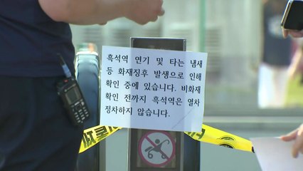 서울 지하철 9호선 흑석역 승강장 연기...상하행 무정차 통과 / YTN