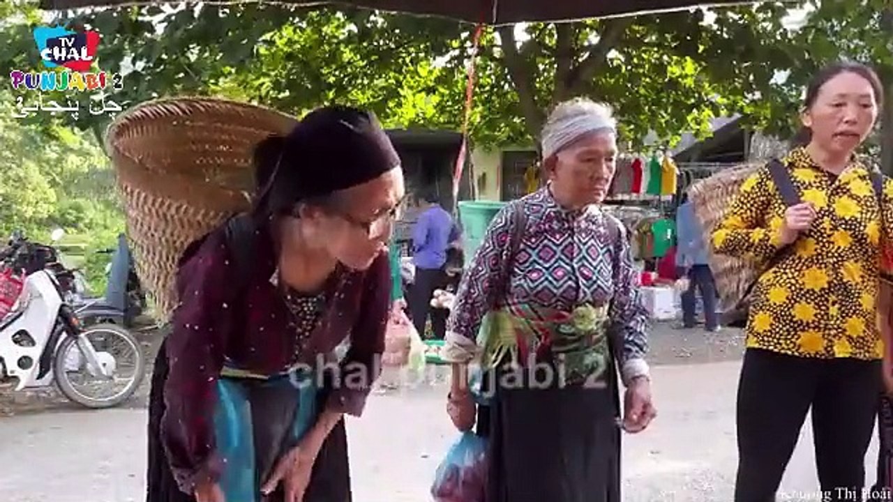 Harvesting guava fruit gardens to the market to sell - Making garden