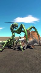 Triceratops vs Mantis 3D Animation