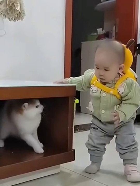 Baby fight with cat