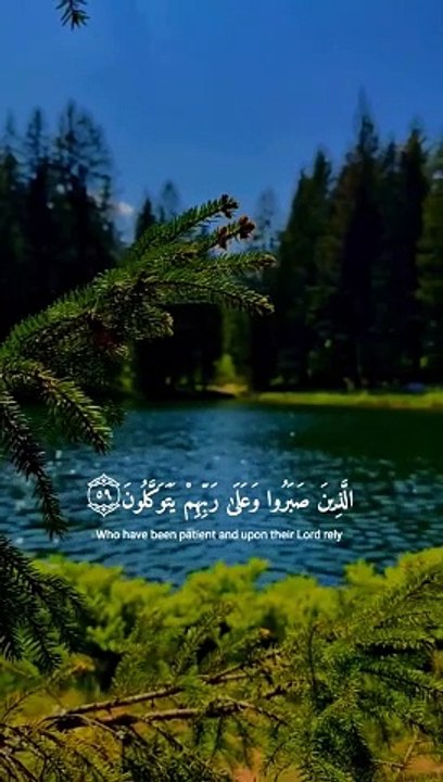 تلاوة جميلة تلاوات القرآن الكريم أفضل صوت يلامس القلب قرآنًا مهدئًا