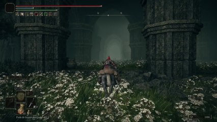 Romina chemin 1 - Shadow of the Erdtree