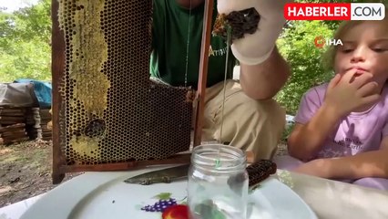 Kovanı açıp yemyeşil balı görünce şaşkına döndü200 arı kovanının arasında keşfetti, hayrete düştüArıcı Ali Uyar: "Kovanın komplesi bu balla...