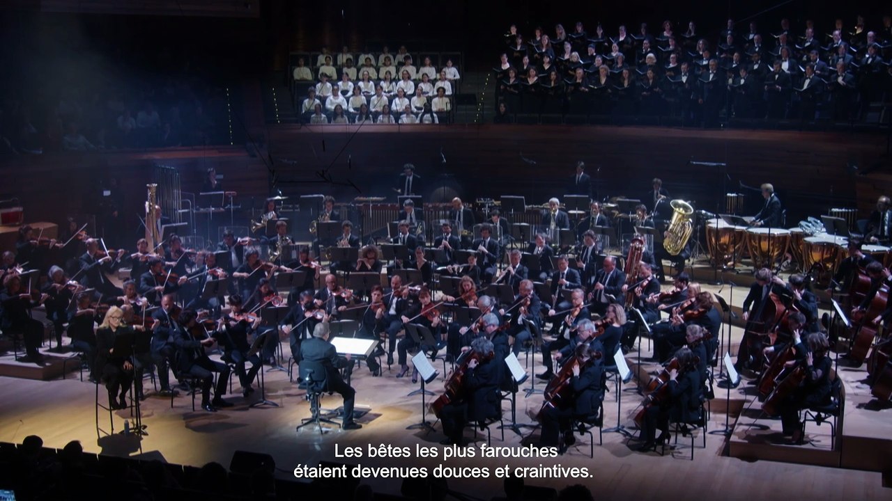 Rufus Wainwright : Dream Requiem