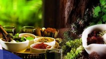 Herbal Ayurvedic Company in India