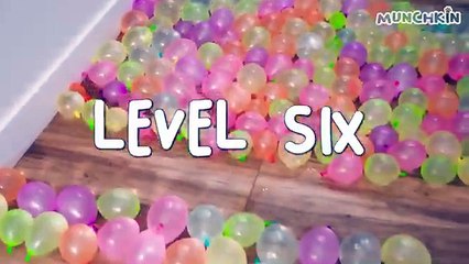 What Can't Cats Walk On