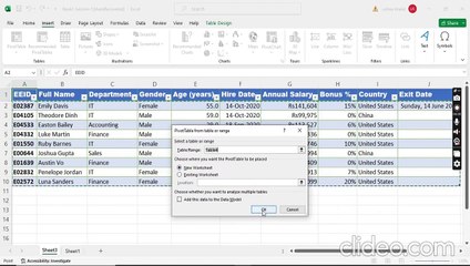 MS Excel _ Style as Table _ Pivot Tables _ Pivot Charts