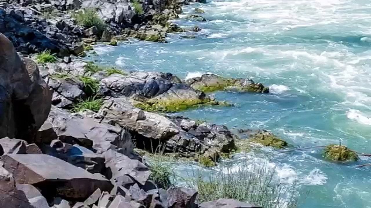 3M TV Relaxation Wild Ocean waves water stream forest birds chirping sweetly relax chill Meditation