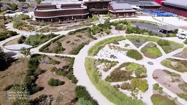 Et si on passait à l'intelligence intuitive et spirituelle au travail ? Bande-annonce VF