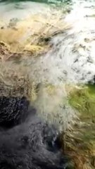 History of dinosaur  #science #sciencefacts #facts #ytshorts #shorts  @fact47.   @facts   @DEVKeFacts    #viralshorts #factsinhindi #facts #actonfact #ytshorts #amazingfacts #shortsfeed #shortvideo #australia #youtubeshorts #birds #westafrica #guinea