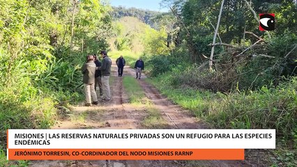 Misiones | Las reservas naturales privadas son un refugio para las especies endémicas