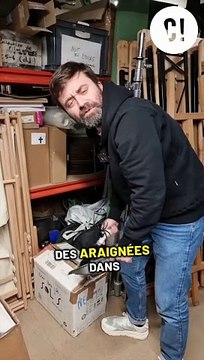 Avoir des araignées chez soi = Avoir une maison saine ?