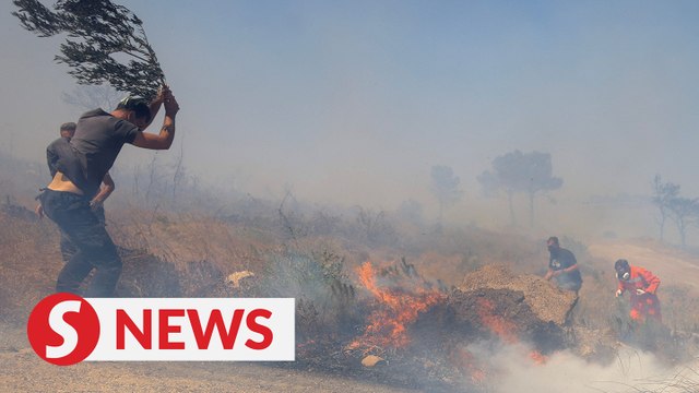 Rescue teams battle raging wildfires in forests near Athens