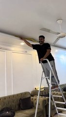 ثعبان اناكوندا