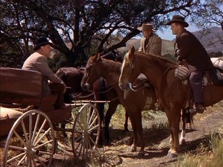 ENTRE O CRIME E A LEI 1951 COM DAN DURYEA