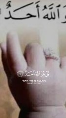 Like and follow shere