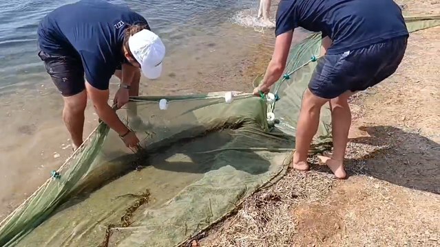 Dos ambientólogos de la Universida de Murcia realizan un arrastre en el Mar Menor Road Trip para mostrar a los visitantes las especies de peces más representativas de la laguna.