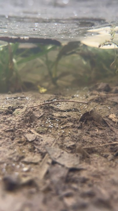 deep in the water 