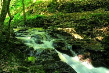 3M TV Wild Ocean Waves nature sounds water green, deep, forest,sleep, Relax, chill, nature,