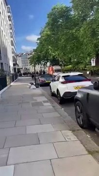 História repete-se. Três cavalos militares correm soltos por Londres