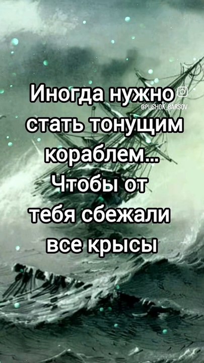 Мудрость Дня - #funny #funnyfails #funnyvideo #humor #humour