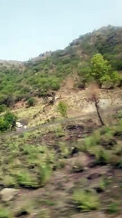 VID_20240613_074343