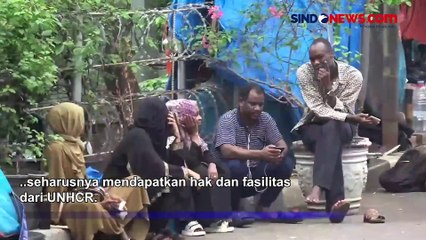 Bangun Tenda Ganggu Ketertiban, Pihak Imigrasi Sebut Tak Bisa Deportasi Pengungsi UNHCR