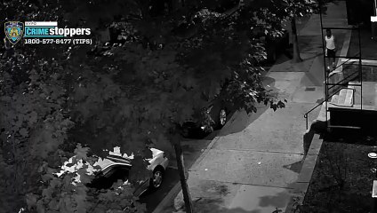 Man sexually assaults woman in Bronx burglary