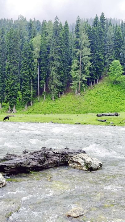Explore Tao Butt, Azad Kashmir