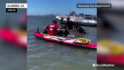 Dramatic water rescue to free teen stuck in mud as tide comes in