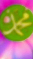 محمد کے در پر چلا جا سوالی یہ دنیاں تجھے کچھ نہیں دینی والی