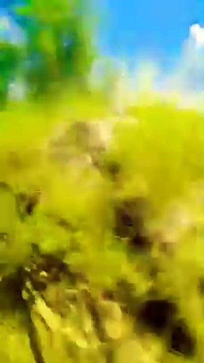 Islamabad__Pakistan__Train_travel_to_Islamabad_ Rafay chaudhary vlogs #islamabad_#nature_#pakistan_#youtubeshorts(360p)