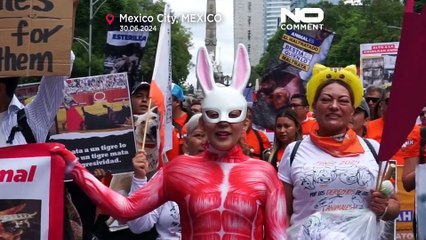 Centenas de manifestantes saem à rua no México pelos direitos dos animais