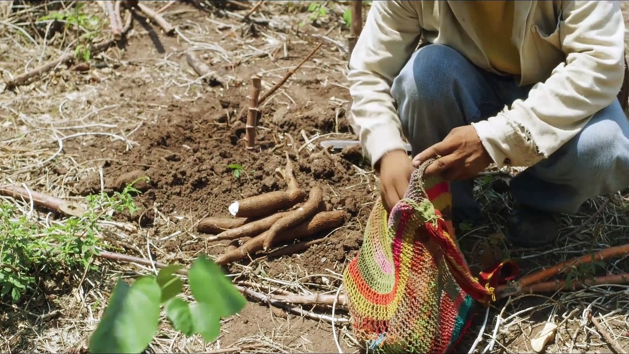 La buena vida - Tráiler