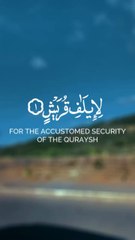 Quran Tilawat #best Quran recitation #islamicvideo #viral
