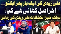 Ali Zaidi Ek Bar Phir Active - Asal Kahani Kya? - Ali Zaidi's Big Revelations