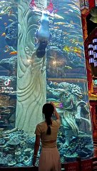 fish are also like this