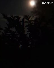 VID-20240701-WA0086