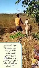 VID-20240628-WA0000funy
