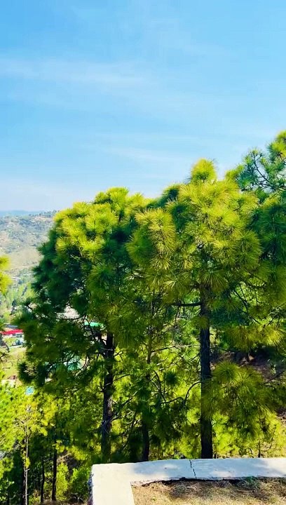 Beautiful Weather In Murree