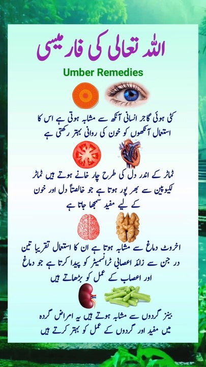 Allah Tala Ki Kudrat #Allah #islamic #reel #shorts #trending #wazifa