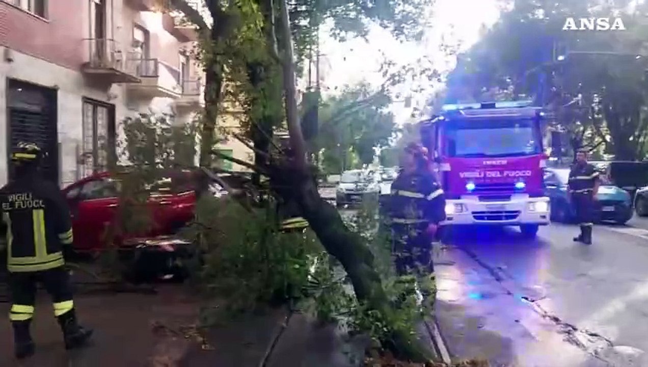 Maltempo a Torino, alberi caduti sulle macchine