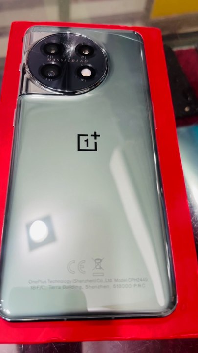 oneplus 11