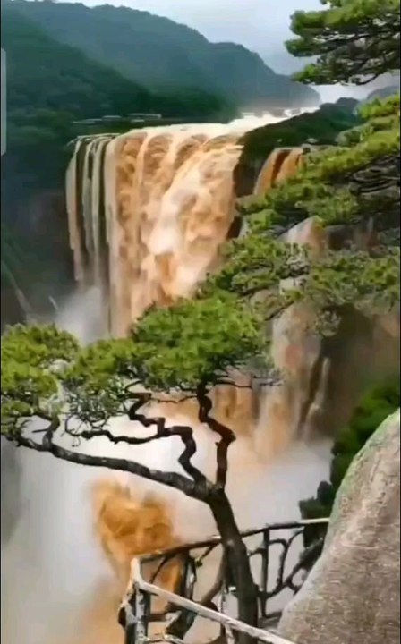 Nature is Beautiful