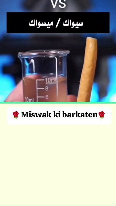 Miswak benefits