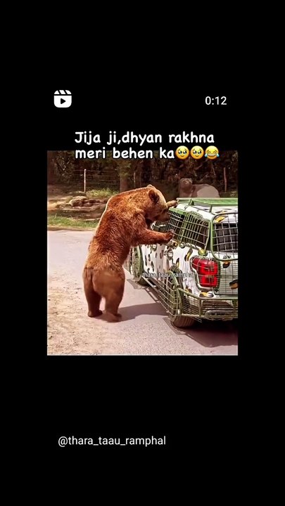 VID_619840713_212706_421