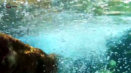 Química Apollo- líder en innovación para la gestión del agua en el sector energético