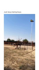 Freind are not a better