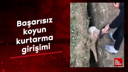 Başarısız koyun kurtarma girişimi
